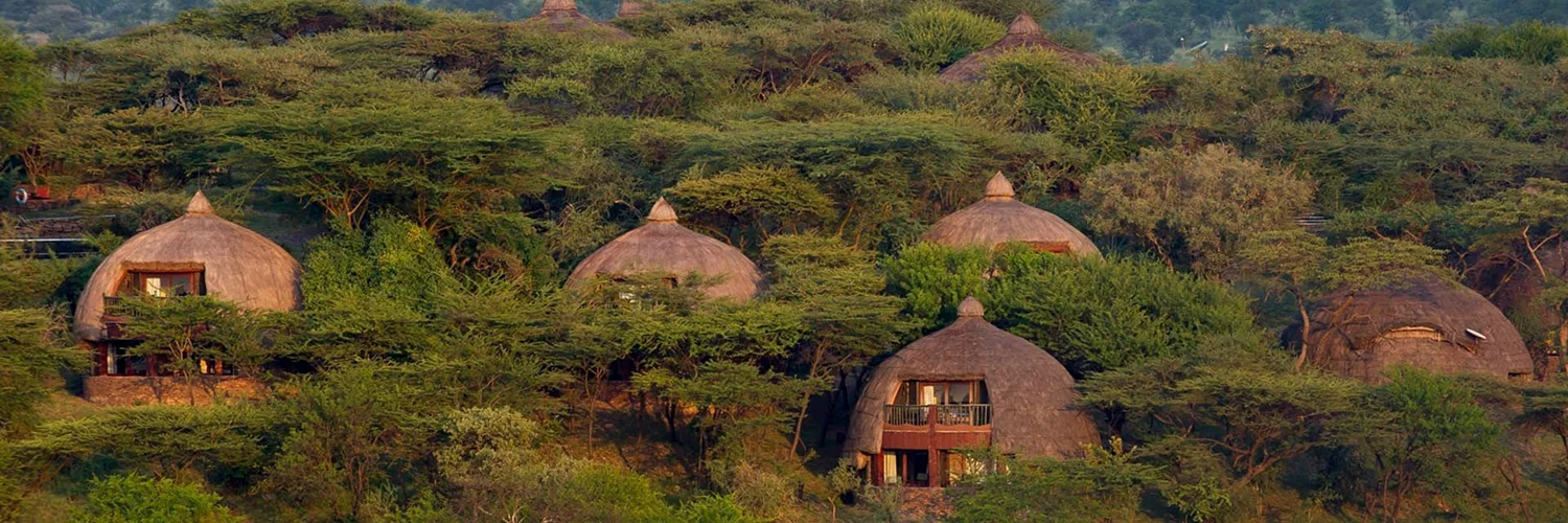 Serengeti-Serena-Safari-Lodge-View-1 1.webp